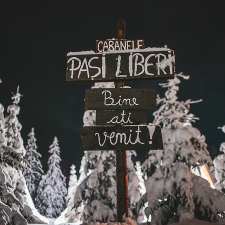 Cabana Pași Liberi Tau Bistra Bagian luar foto