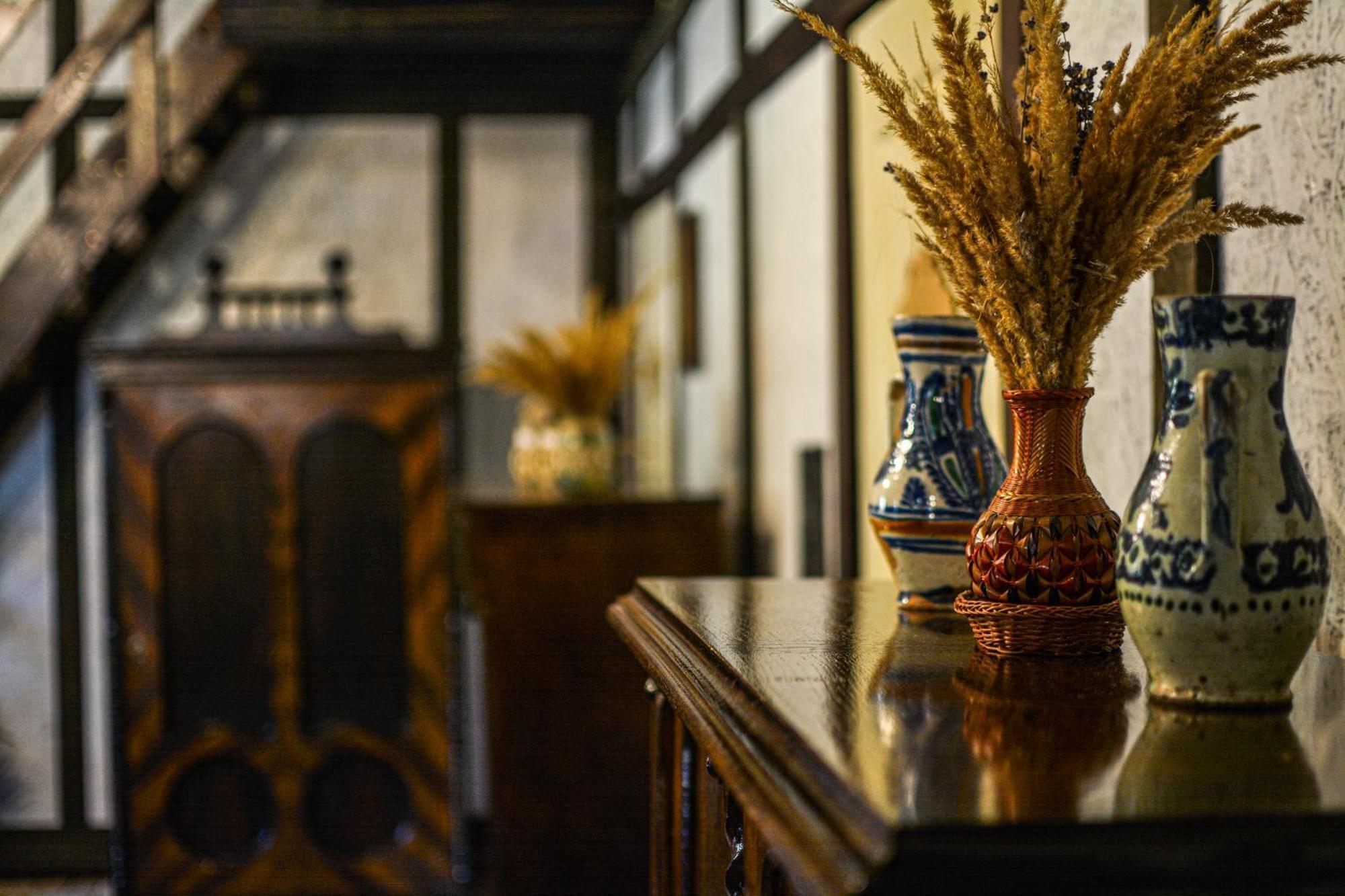 Cabana Pași Liberi Tau Bistra Bagian luar foto